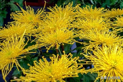 开封府清明上河园一日游攻略,开封清明上河园游玩笔记