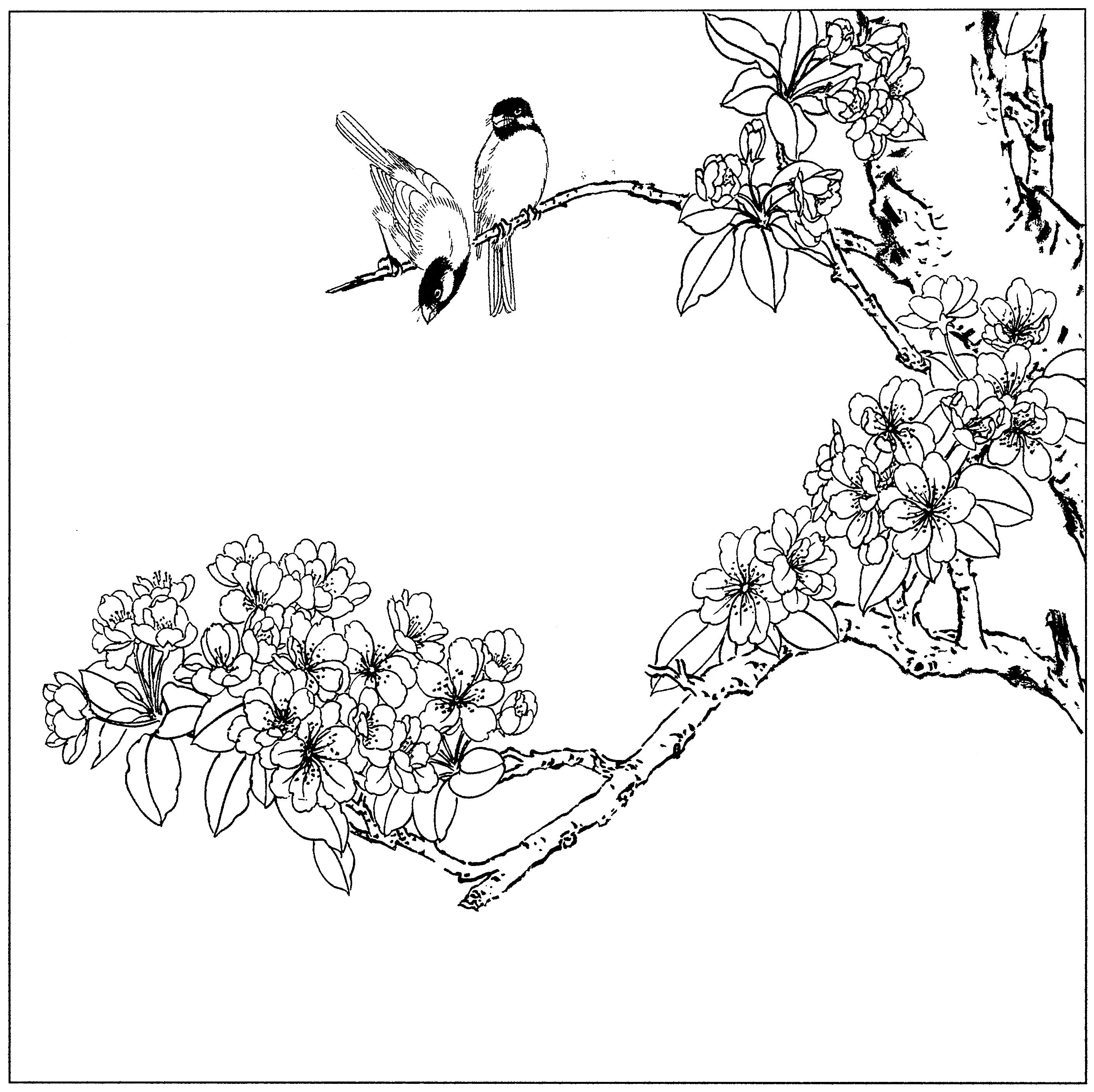 花鸟工笔四条屏白描高清大图,牡丹六尺横幅白描工笔花鸟底稿