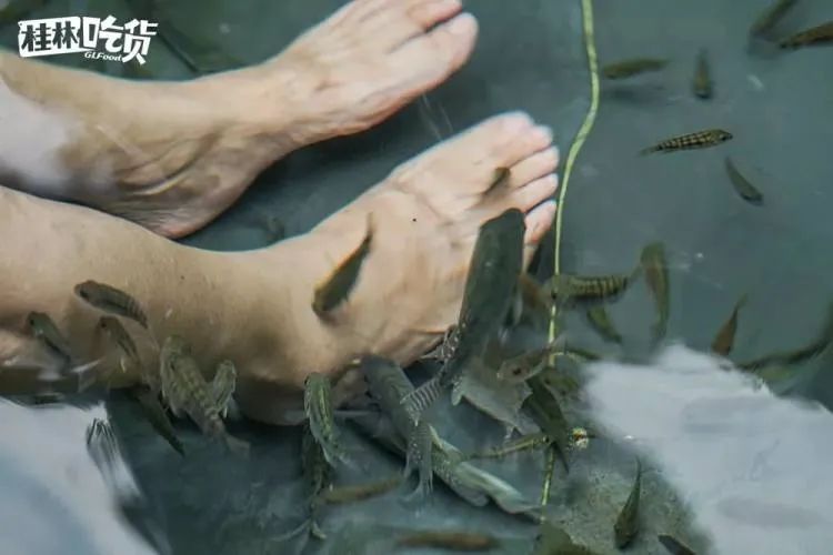 桂林天然温泉推荐,桂林人间仙境仙家温泉