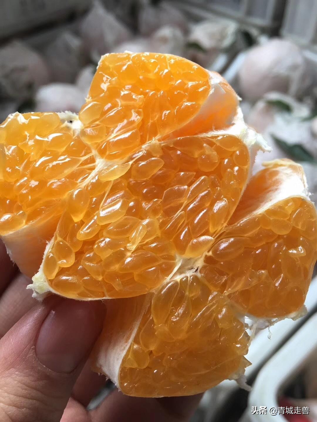 开春适合吃什么蔬菜和水果,开春了见到这5种水果别手软