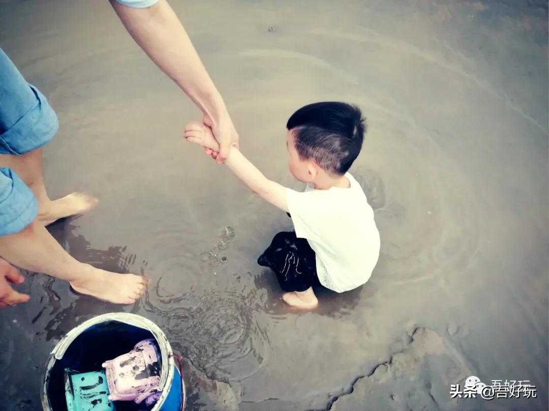 遛娃|南汇新城海滩，魔都夏日必打卡？