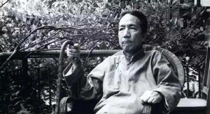 陈寅恪一生负气半世凄凉,陈寅恪一生负气半世凄凉意思