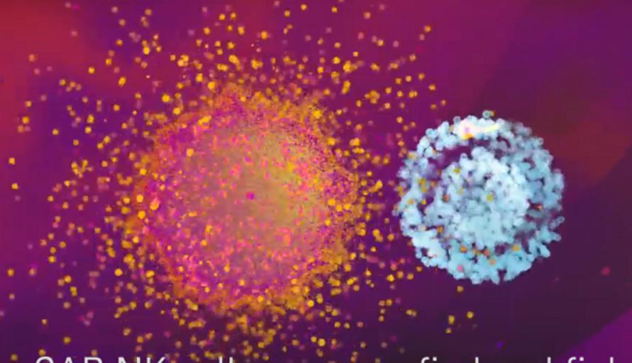 nk细胞疗法可以用于健康人群吗,肿瘤nk细胞疗法