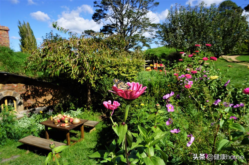 新西兰霍比特人村攻略,新西兰霍比特蓝泉一日游