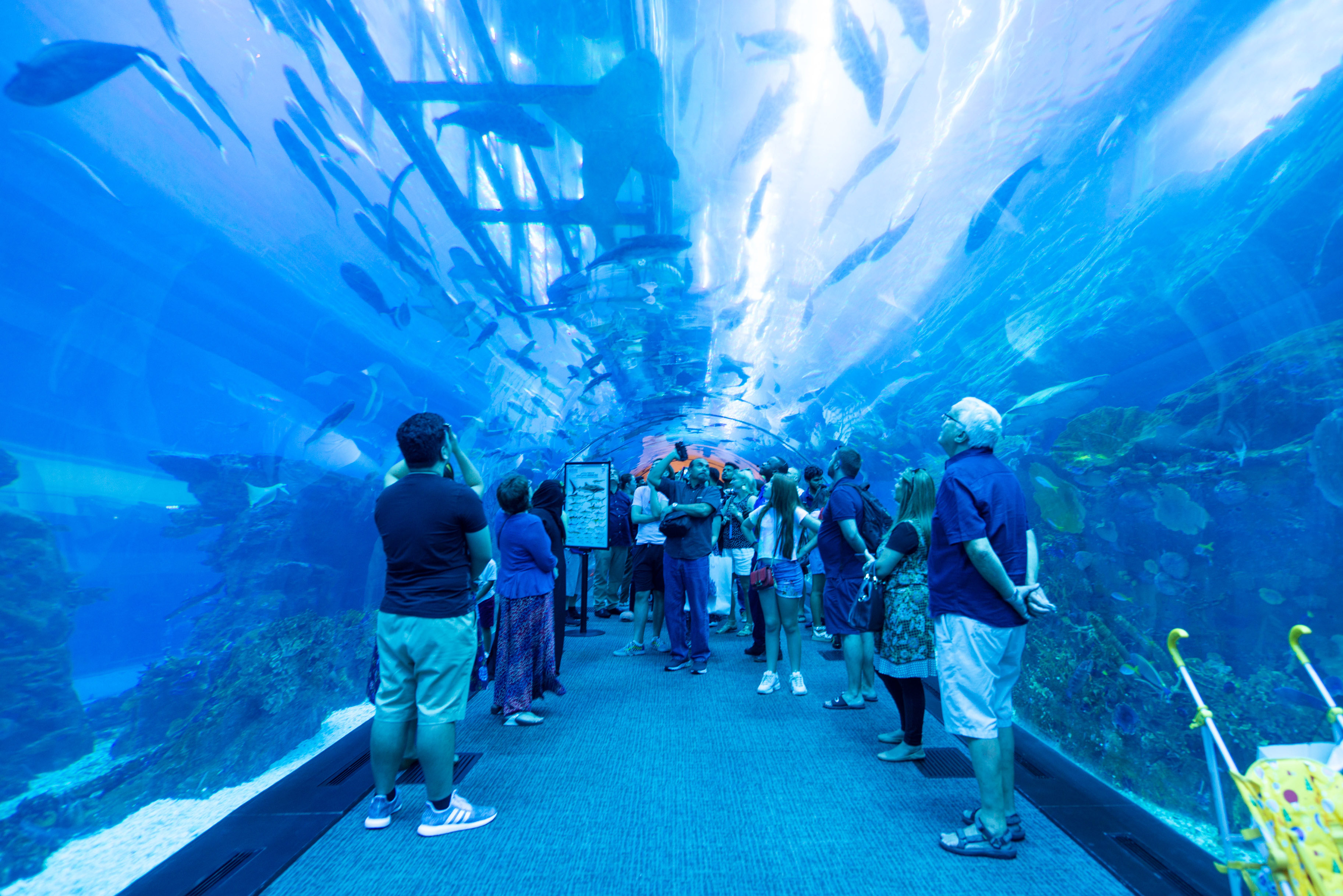 迪拜十大奢华游玩,迪拜最奢华的海岛