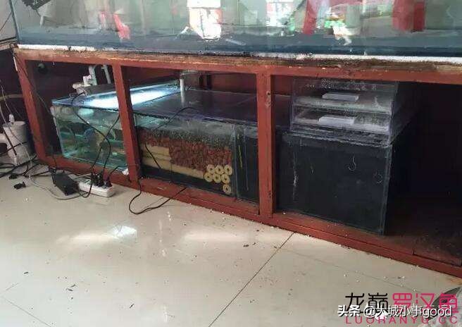 过滤棉讲解,物理过滤滤棉选择