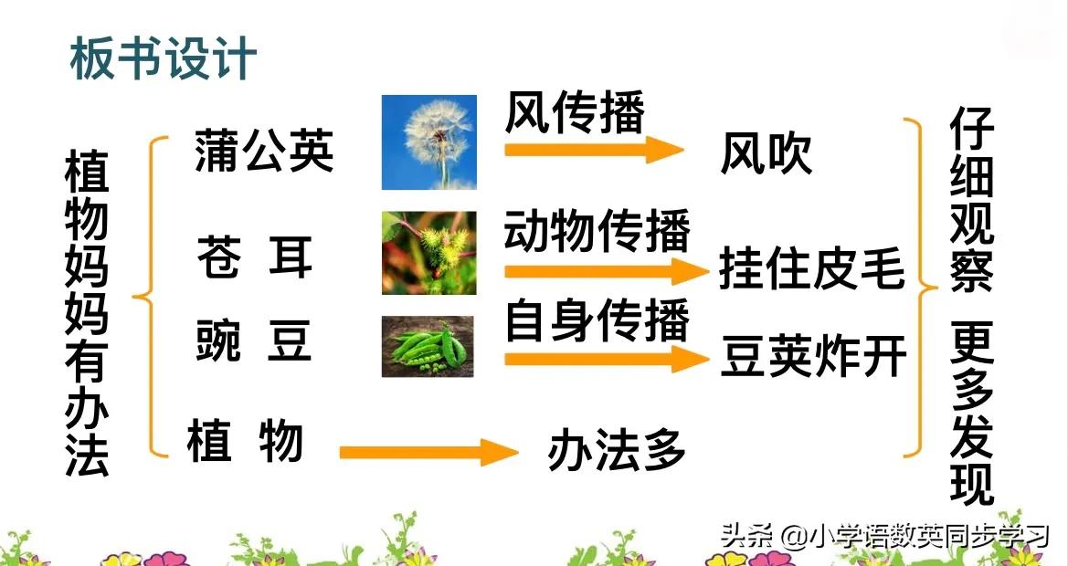 二年级第三课植物妈妈生字组词,二年级上植物妈妈靠什么传播种子