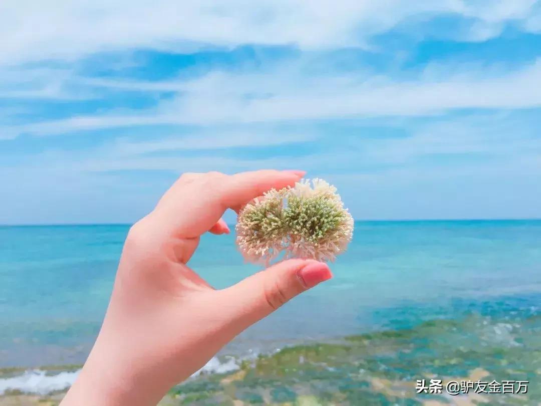 日本签证5月重大便利，“网申”在即！这个好吃好玩好买的地儿