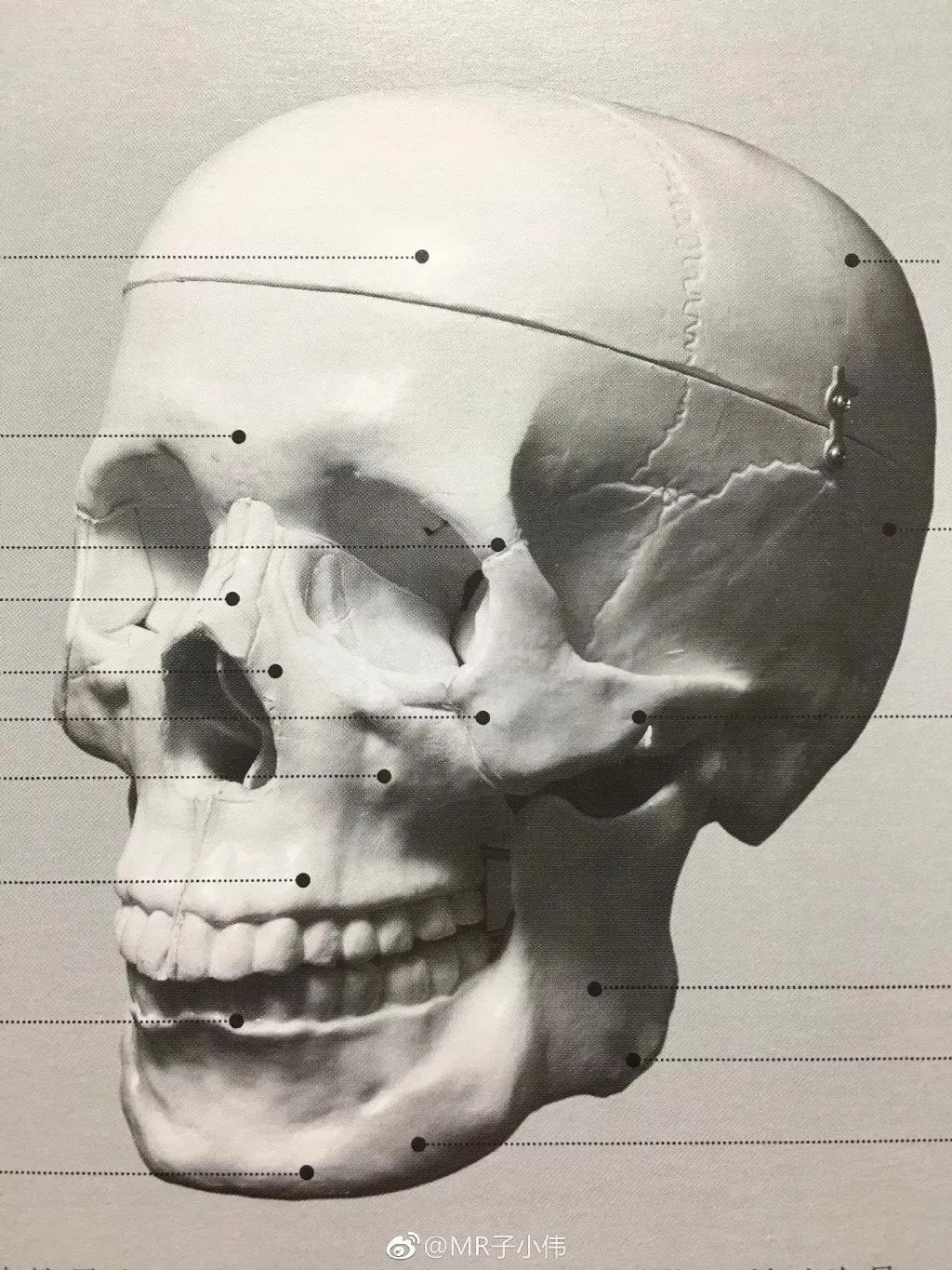 厉害了！他用一支铅笔把明星画了多个，如肖战、蔡徐坤、迪丽热巴