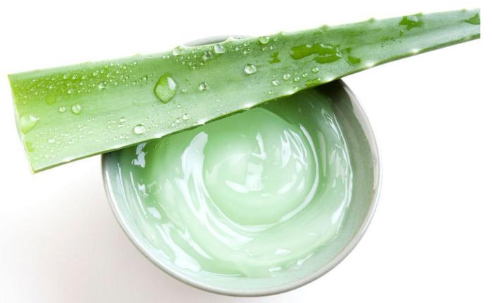 芦荟有什么用处对皮肤有好处吗,种植十五年的芦荟有什么用处