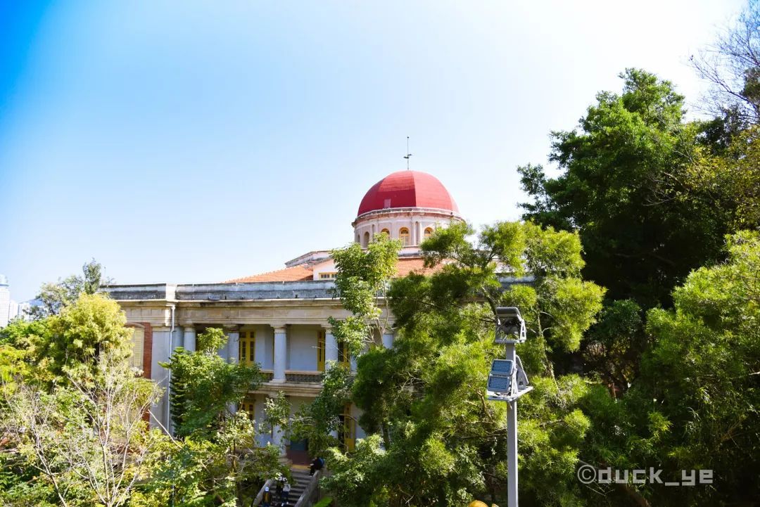 鼓浪屿一日游吃什么,鼓浪屿适合老人旅游攻略