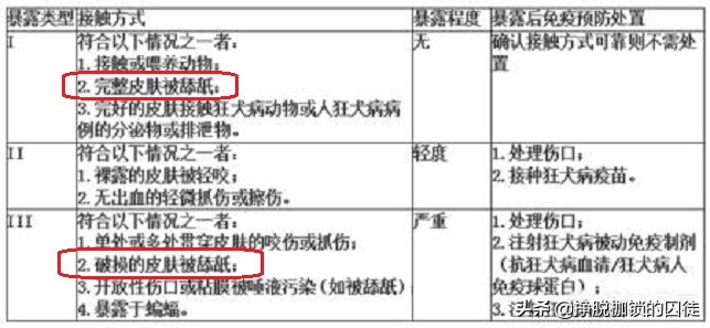 9岁男孩被狗狗舔突发狂犬病,9岁男孩被狗舔伤口病发身亡
