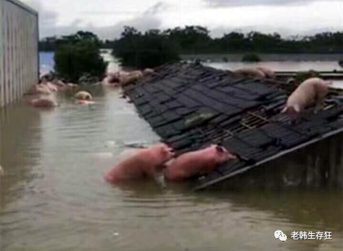 生存战争缺水了怎么办,生存战争遇到岩浆怎么办