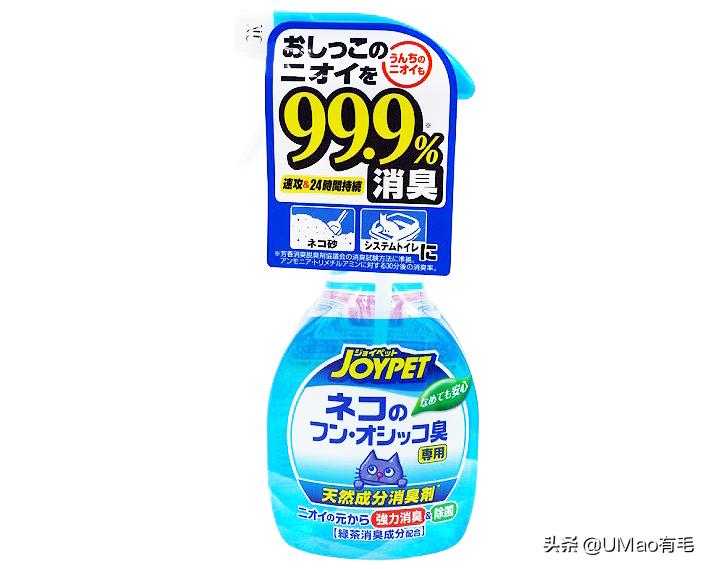 为什么养猫和想象中的不一样,为什么养猫比对自己的父母还好呢