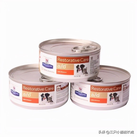 猫咪绝育后的几件事,猫咪绝育后续出的问题是谁承担