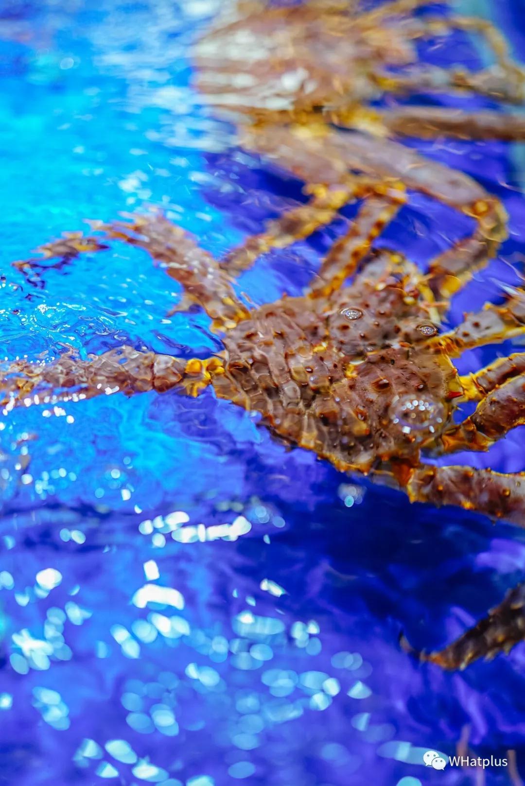 在超市寻宝任务,商场寻宝攻略