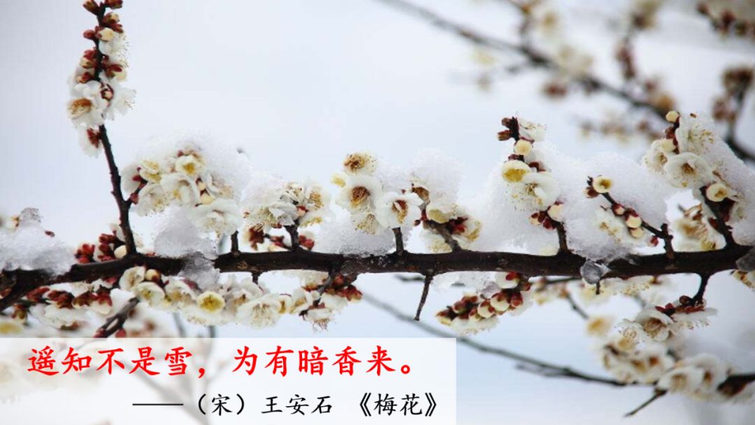 一年级语文下册春夏秋冬生字笔画,部编版一年级上册课文朗读完整版