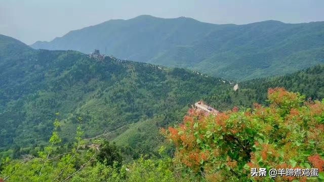 游玩北京香山公园之行,7月的北京香山公园图片