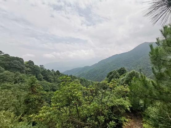 江湖路的风景视频,江湖路上走走停停