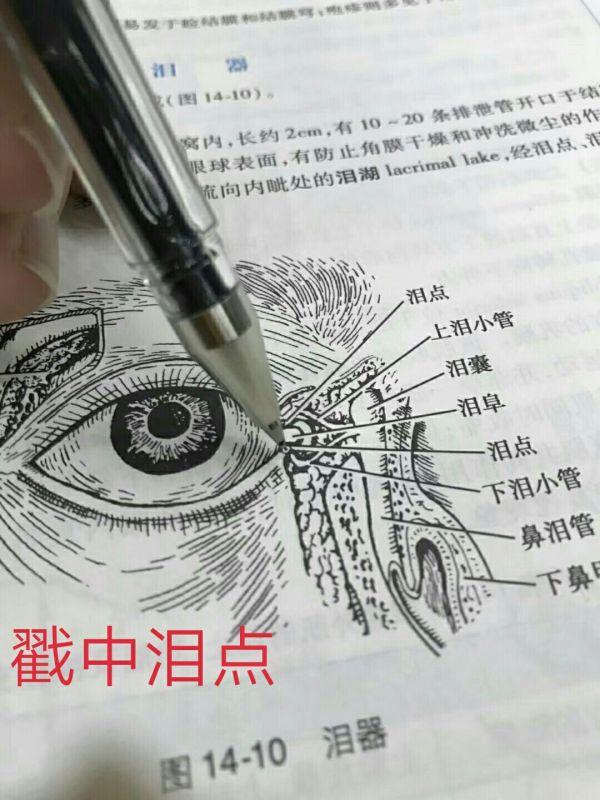 高一生物必学的知识点,高一必修一生物手写学霸笔记图片