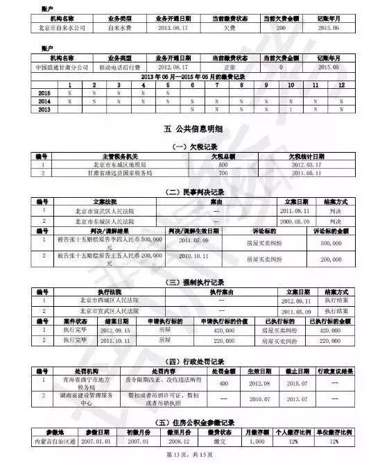 个人征信报告简要版和详细版,如何读懂个人征信报告电子版