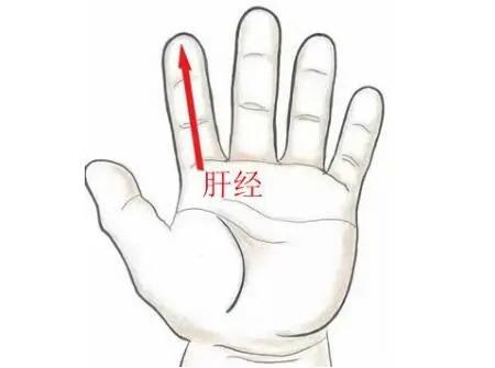 幼儿汗多自汗如何调理,幼儿出虚汗推拿手法