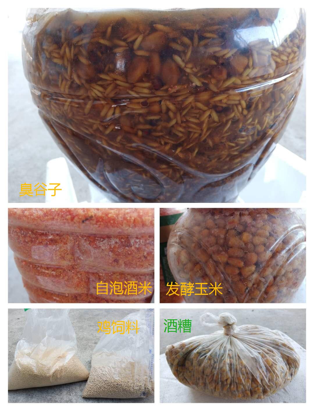 钓鱼窝料饵料知识讲解,窝料是钓鱼最好的饵料