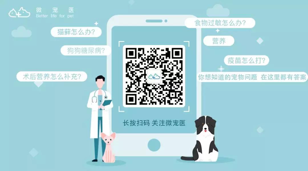 毛孩子发情期可以绝育吗,发情后怎么判断它需要绝育了