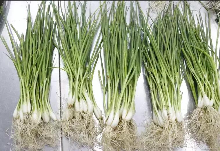 合肥菜价查询最新蔬菜价格表,今日菜价安徽合肥