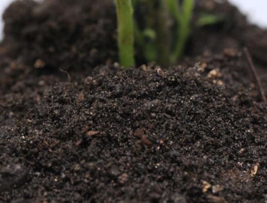 盆栽土结块的解决方法,土壤结块如何治理