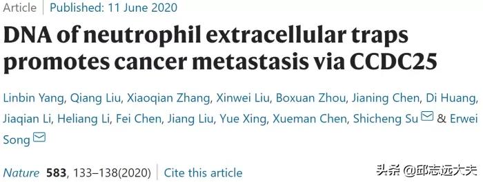 中国免疫学科学家,免疫学领域学者排名