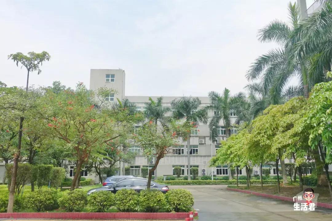 全国飞机最多的大学,中国有多少航空学校