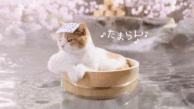 辽阳弓长岭温泉滑雪第一视角,2022年的第一场雪感悟