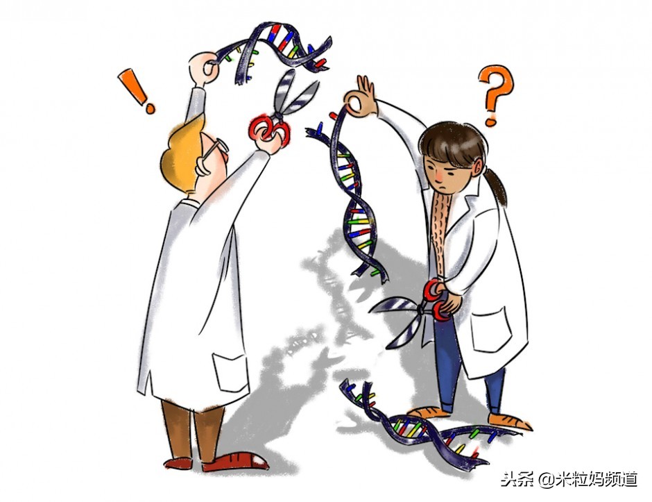 世界首例基因编辑主导者,世界第1例转基因植物