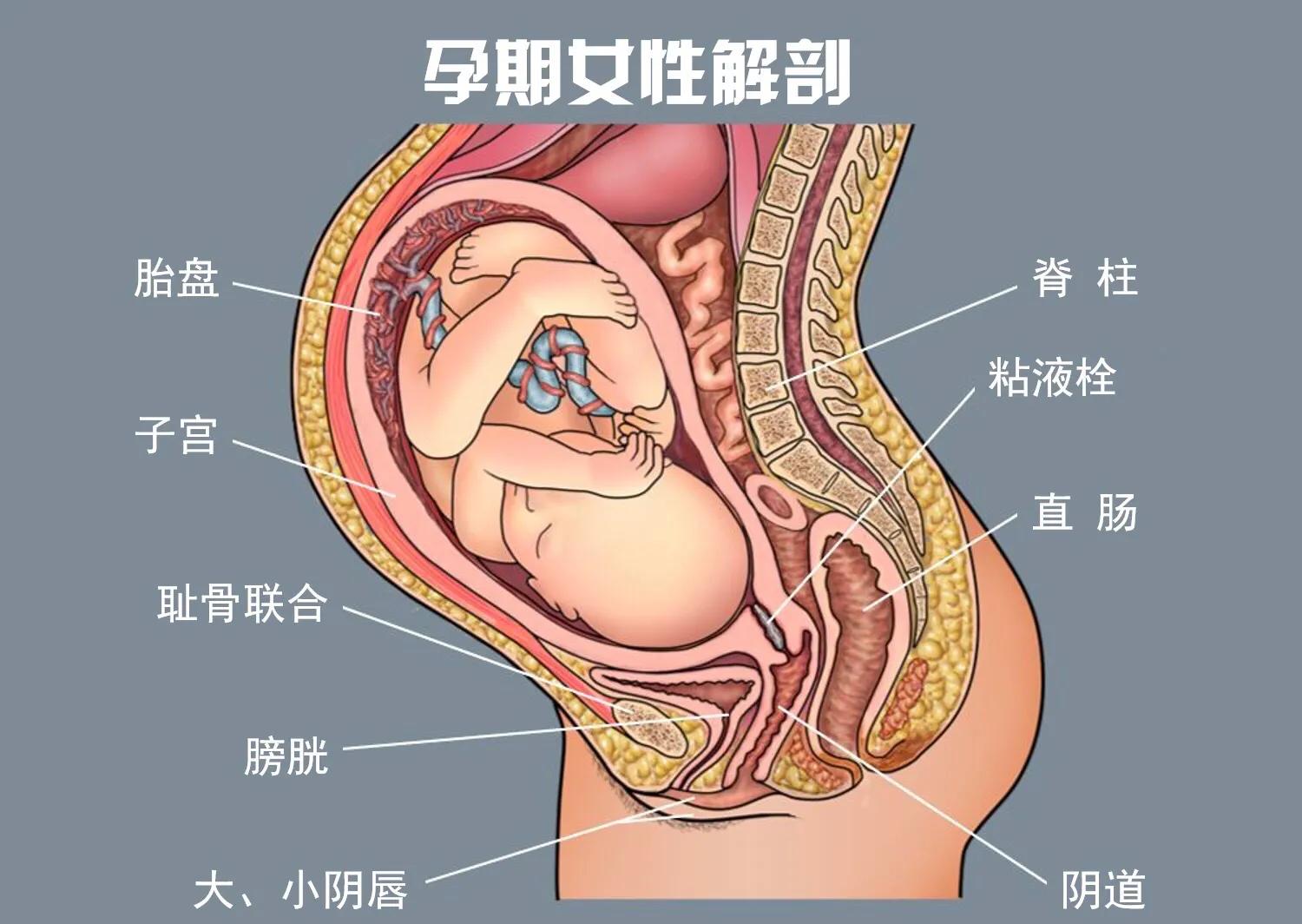 产后修复去医院还是产后修复中心,产后修复主要修复什么