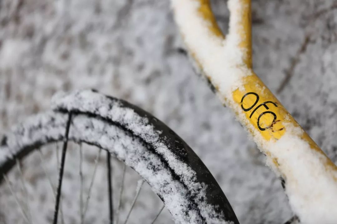 ofo总部现退押金,ofo自救免押金