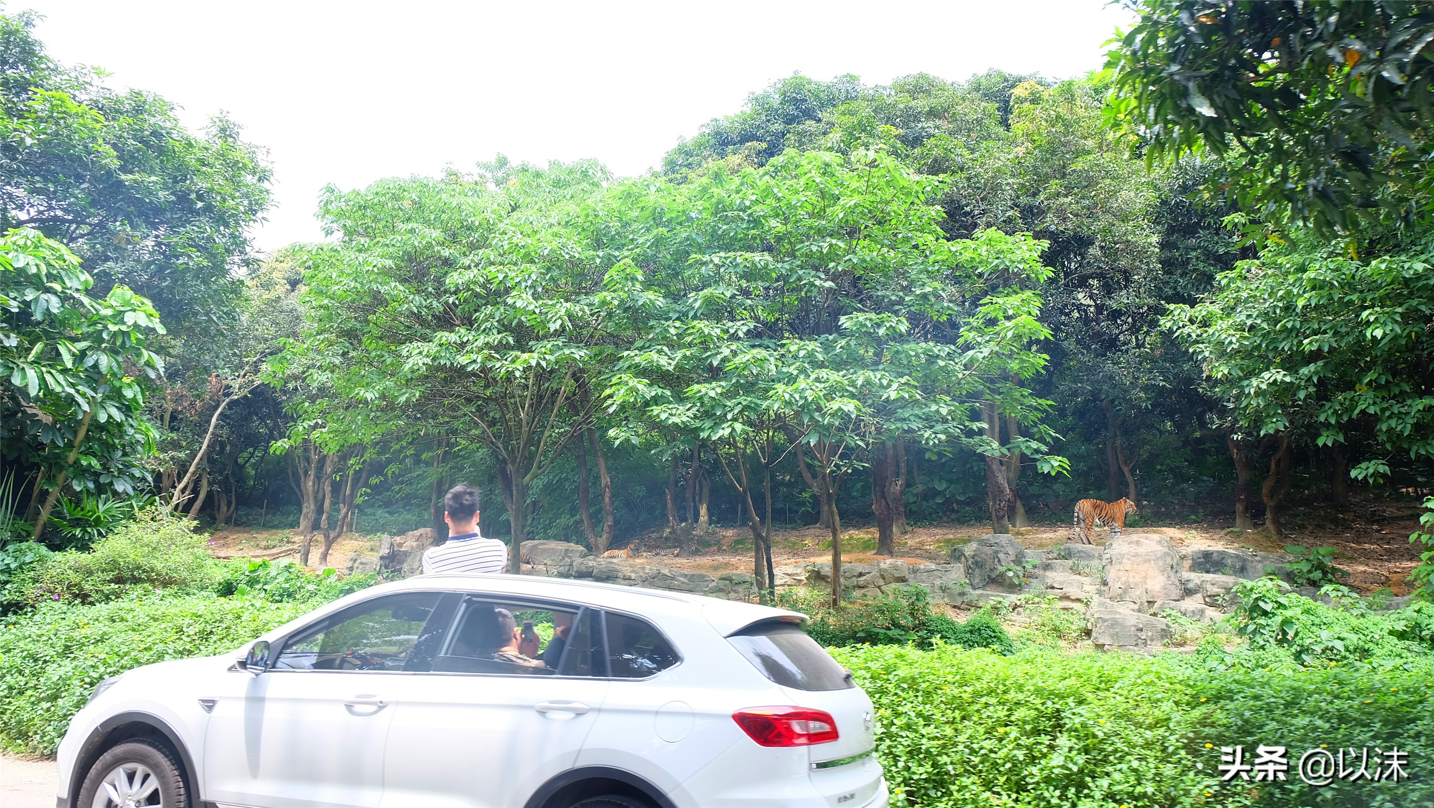 长隆野生动物世界游玩攻略,长隆野生动物世界带娃攻略