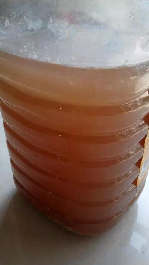 淘米水养鱼有什么效果,淘米水浇什么最旺