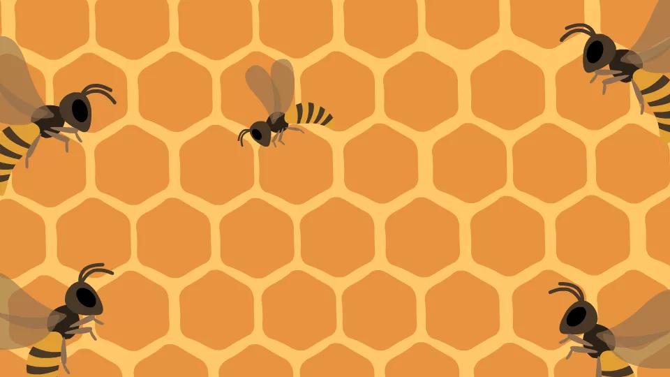 创新的起源和发展,创新的本质是一个什么概念