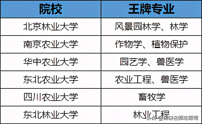 985211院校含金量最高的专业,全国高校985211大学中的优势专业