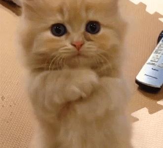 鍘荤埅鎵嬫湳瀵圭尗鏈夊澶х殑浼ゅ,妫夌澶ф硶鍚庡彲浠ョ粷鑲插悧