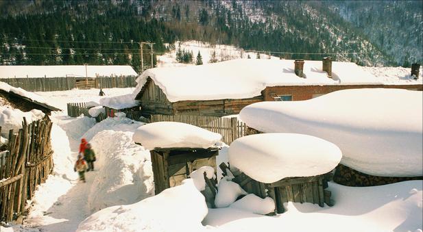 黑龙江省五个野鸡大学,黑龙江野鸡大学被曝光