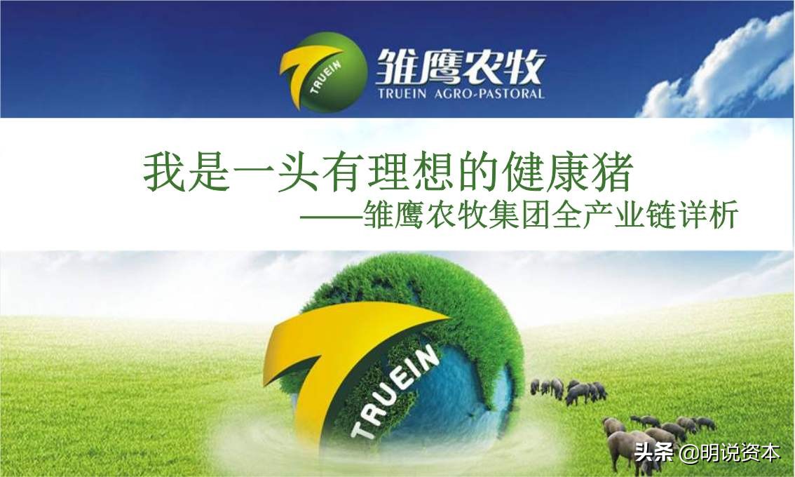 2019獐子岛扇贝再跑路亏损3.987亿,扇贝猪仔教主人存货造假4路径