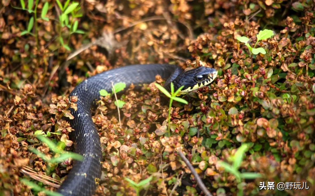 十一假期户外旅游注意事项,假期出游注意事项和防护