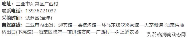 趁着春光出游海南,趁着春光明媚去旅行