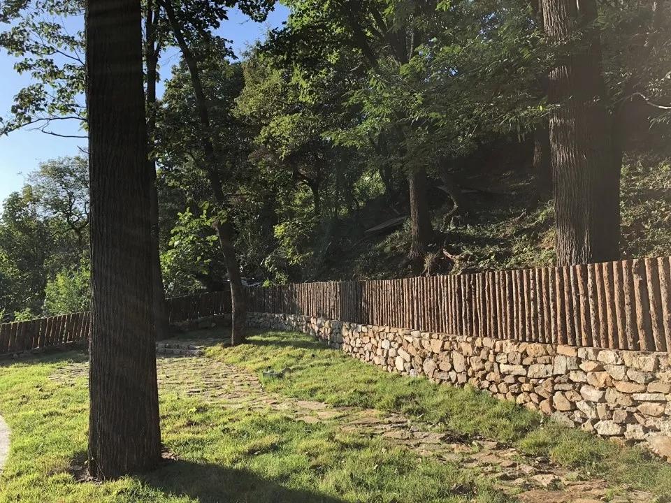 「案例」百年小村庄怎样打造成网红民宿村