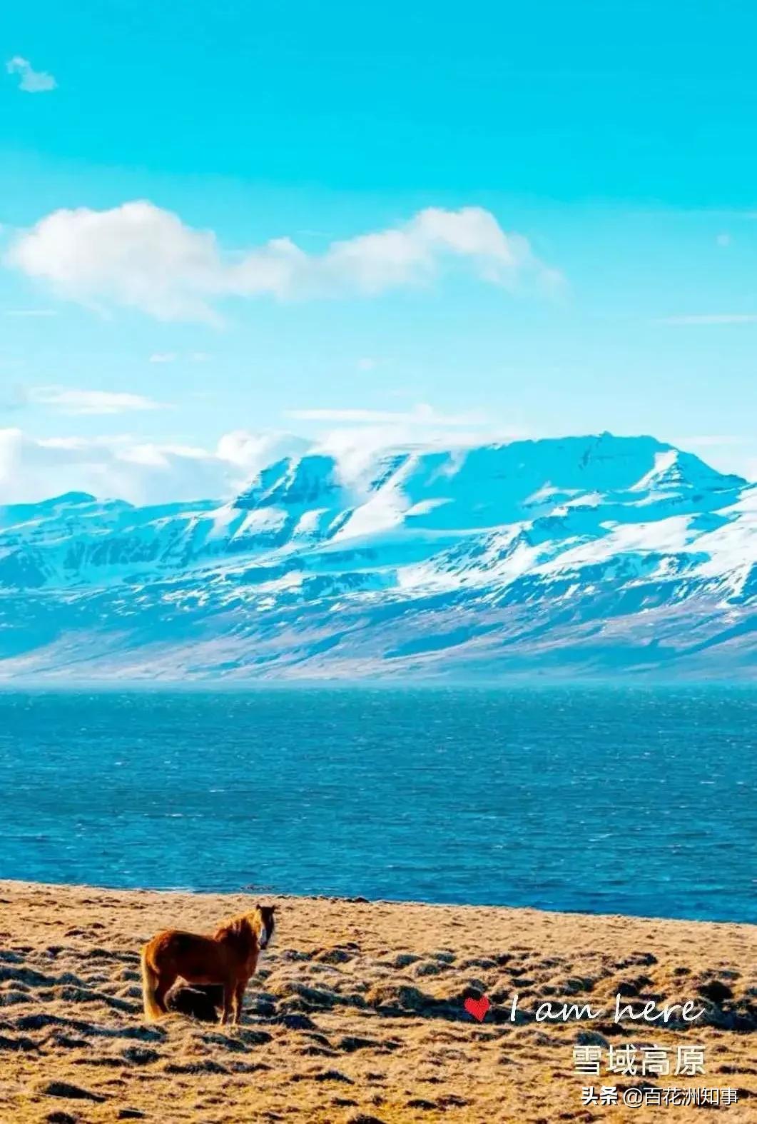 陈光：冰雪覆盖的山