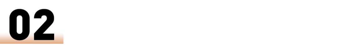 净网2019/深圳300警力突袭9家售车公司，揭开“零首付购车融资”黑幕