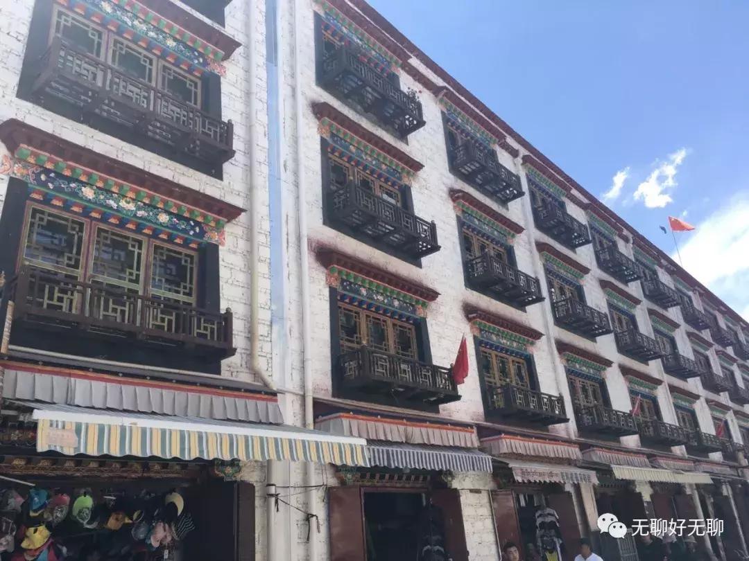 拉萨高原反应红景天,天上拉萨