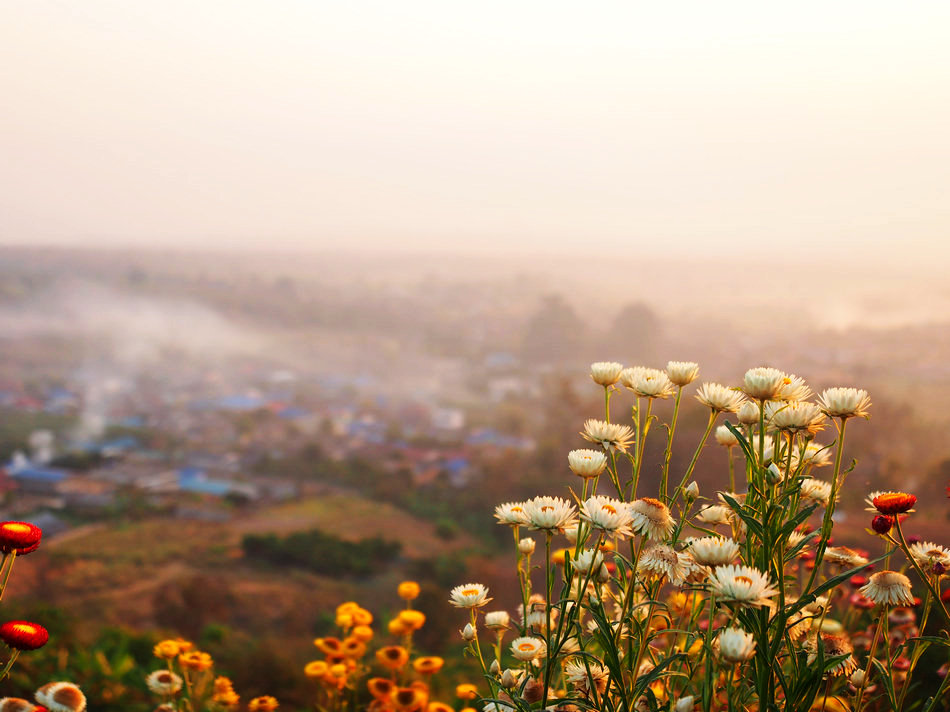 泰国7日游旅游攻略,泰国五日游攻略详细